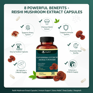 Extrato em Pó de Cogumelo Ganoderma Lucidum Lingzhi <span class=keywords><strong>Reishi</strong></span> Orgânico USDA para Cuidados com a Saúde Cápsulas de Ganoderma Lucidum - Product Image 5