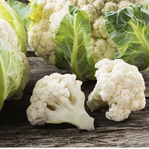PREMIUM QUALITY CANNED CAULIFLOWER / NATURALLY PRESERVED / DELICIOUS TEXTURE / MADE in VIETNAM
