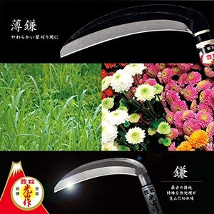 Herramienta de deshierbe de Hoz Shinshu con mango de madera de espesor medio, Hounen Kihan, japonés, hecho en Japón - Product Image 3