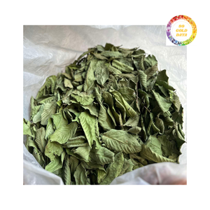 Cadena de suministro de fabricante de té de hierbas cortadas Premium Select de hoja de guayaba seca pura - Product Image 1