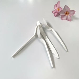 Juegos de cubiertos Desechables Seguridad alimentaria Nueva durabilidad superior Cubiertos de plástico económicos Cubiertos Premium PP - Product Image 6