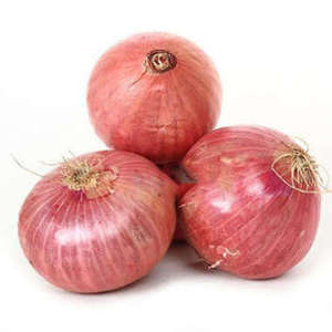 Oignon rouge frais rond non pelé, légume horticole de type Liliaceae, culture courante, Sunari Enterprises, 500 MT, qualité export - Product Image 1