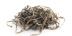 ผู้จัดจำหน่ายสาหร่ายทะเลแบบเป็นกิโลกรัม - คุณภาพสูง ราคาแข่งขัน - Product Image 4