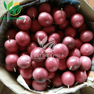 Wholesales Soft Dried Passion Fruit <b>Sweet</b> AD Process Sliced Premium Quality Tropical Fruit 100% Natural Viet Thien Phu Vietnam - Product Image 6