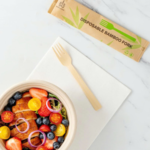 Cucharas de madera biodegradables desechables ecológicas modernas para llevar naturales para restaurantes, bodas, camping - Product Image 5