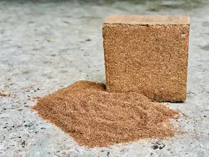 Coir 5kg block 100% Natural coco peat at affordable rate