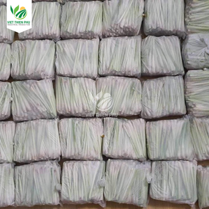 Viet Thien PHU VTP/OL-34 Tranche de tige de citronnelle biologique Processus de congélation IQF Bon marché OEM Légumes surgelés - Product Image 5