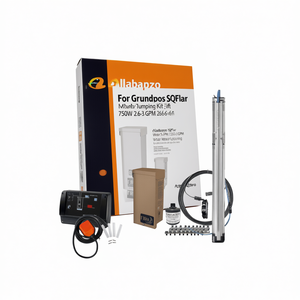 Kit de pompage d'eau solaire Grundfos SQFlex 750W 2,6-3 GPM, hauteur de refoulement 260-655 pieds pour l'agriculture - Product Image 2