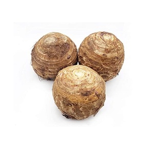 Cheap Price Supplier From Germany <b>Fresh</b> <b>Taro</b> Quality <b>Taro</b>, <b>FRESH</b> <b>TARO</b> 40G/60G/80G/100G at Wholesale Price With Fast Shipping - Product Image 4