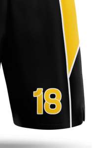 Shorts de basket-ball pour hommes Sports Training Quick Dry Gym Workout Fitness Activewear Mesh Breathable Lightweight Elastic Waist Shorts - Product Image 5