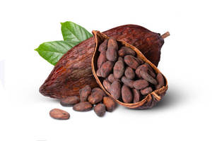 Granos de Cacao Orgánicos al por Mayor y Semillas de Cacao Variedad Forastero, Bolsas de 50 kg, Tostados, Grado de Procesamiento 1, 3 Años de Vida Útil - Product Image 3