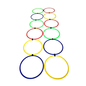 Agility Training Ring <b>Ladder</b> (Set of 12 Rings) - Multicolored Available At Best Price - Product Image 1