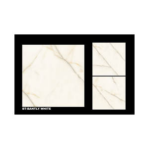 Best Quality 600x600mm Porcelain Glazed Digital Floor Tiles Modern Style for Interior Living Room and Bathroom Use - Product Image 2