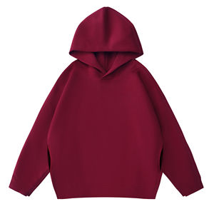 Sudaderas con Capucha 100% Algodón con Logotipo Personalizado para Hombre, Bordadas de Alta Calidad, Extra Grandes, Ecológicas, para Otoño, de Fábrica - Product Image 3