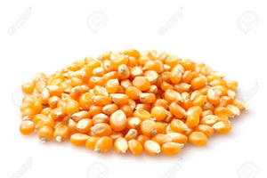 Maíz seco de calidad estándar para alimentación animal Maíz amarillo disponible para la venta - Product Image 4