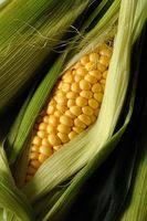 NATÜRLICHES GANZES KERNEL CANNED SWEET CORN/KEINE PRE SERVATIVEN/BEREIT FÜR DEN GEBRAUCH/BULK EXPORT