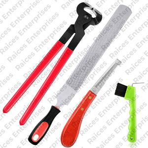 Kit d'outils de maréchal-ferrant professionnel très résistant pour les soins des chevaux en vente en gros Ensemble de haut de gamme de haute qualité quantité minimale de commande bas Professionnel robuste réutilisable - Product Image 6