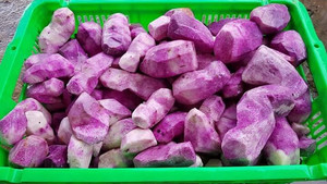 Vacuum Pack Frozen Purple Yam - Frozen Fresh Purple Vacuum Pack, Various Shapes IQF Frozen Purple-White Yam Like <b>Cube</b>/Chunk - Product Image 5