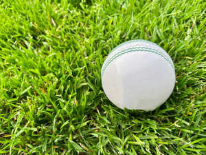 ไม้แข็งสีขาวสำหรับเด็กเล่นคริกเก็ตไม้แข็งขนาด3ออกแบบโลโก้ได้ตามต้องการ - Product Image 5