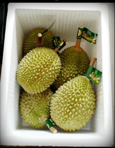 Durian fresco al por mayor de Thailad - Product Image 3