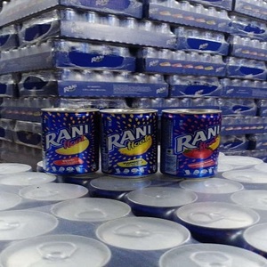 Float Fruit Juice, Mango, Paquete de 24, Hecho con Piezas de Frutas Reales Bajo en Azúcar - Product Image 3