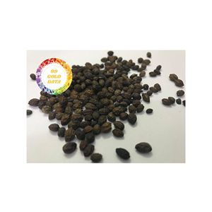 SEMILLAS DE PAPAYA SECAS NATURALES DE VIETNAM ADECUADAS PARA PROPÓSITOS COSMÉTICOS Y DE BIENESTAR DE TÉ SALUDABLE CON ALTA CALIDAD - Product Image 4