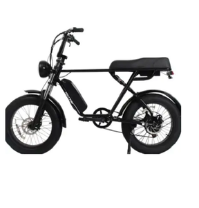 Vélo de livraison électronique de pizza de moteur de 1000W vélo de cargaison de batterie de haute qualité vélos électroniques palette - Product Image 4