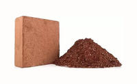 100% Briques de coco de cacao compressées biologiques Grand média de culture écologique avec super discount-Briquettes de tourbe de noix de coco