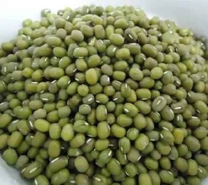Premium Mung <b>Beans</b> High Quality Export Supply - Product Image 2