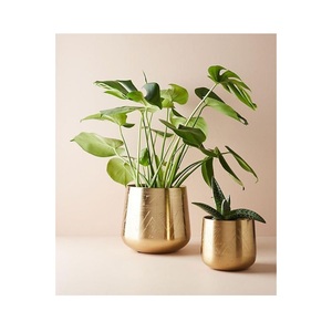 Maceta martillada de Metal de alta calidad para decoración del hogar, maceta, mesa, planta decorativa a precio razonable por proveedores indios - Product Image 4