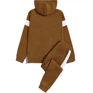 100% sudaderas con capucha de algodón personalizadas para hombre, ropa de calle, Sudadera con capucha, chándales básicos de otoño, sudaderas con capucha de diseño personalizado para ropa de hombre - Product Image 2