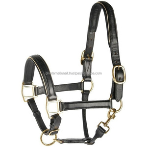 Top qualité fait à la main en cuir noir ou marron cheval licou de luxe double couture doux rembourré cheval course licou à bas prix - Product Image 2