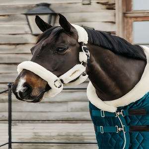 Couverture imperméable pour cheval, marron avec bordure turquoise, en tissu Oxford, toutes saisons, usage extérieur, 2 sangles de jambe, col standard, grande queue. - Product Image 5
