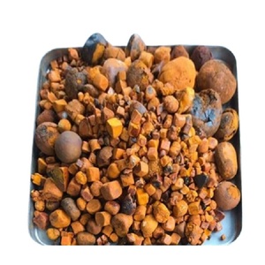 Bezoar Bovis de Grado Medicinal, Cálculos Biliares Naturales de Buey Secos, Suministro Premium - Product Image 4