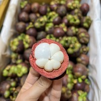 Thaise biologische verse mangosteen - natuurlijk zoet & rijk aan voedingsstoffen, kwaliteit A, merk Khey Taladthai, in doos verpakt voor export naar Nederland
