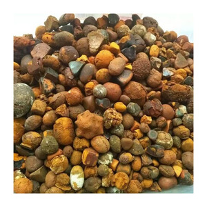 Cálculos biliares secos de buey de vaca, extracto de animales Premium, cálculos biliares de ganado a precio barato - Product Image 2