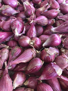 Anneaux d'échalote congelés | Ingrédient aromatique | Usine du Vietnam - Product Image 6