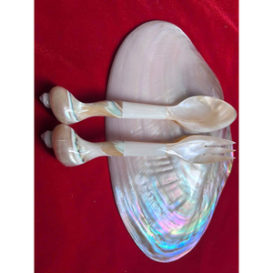 Cuillères en coquillage de haute qualité: prix compétitif, cuillères en nacre et conque du Vietnam, fabriquées à la main - Product Image 1