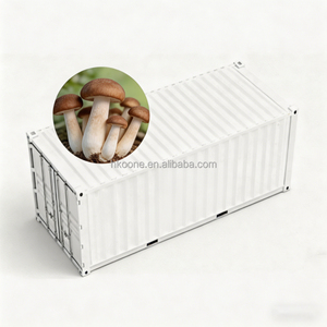 Conteneur professionnel de culture de champignons de 40 pieds High Cube avec contrôle climatique de précision et système d'humidification automatique – Direct Usine - Product Image 6