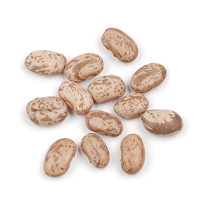ถั่วไตมีรอยด่างอ่อน/ถั่วไพน์โต/ถั่วน้ำตาล - Product Image 3