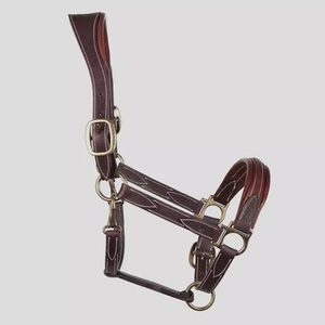 Accesorios de equitación de calidad superior, venta al por mayor, cabestro de caballo de cuero genuino ecuestre, cuello de cabeza, cabestros equinos acolchados - Product Image 2