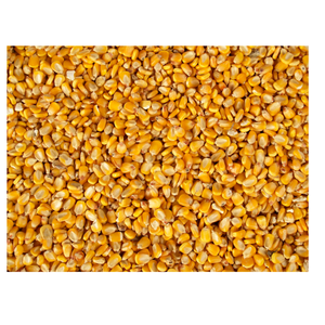 Maïs jaune biologique de qualité 1, non-OGM, 100% pur et naturel, adapté à la consommation humaine et à l'alimentation animale, d'origine indienne - Product Image 5