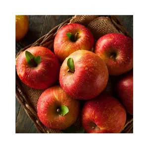 תפוח גאלה מלכותי באיכות טובה פוג'י כוכב אדום תפוחים טריים זמין במלאי טרי בתפזורת במחיר סיטונאי משלוח מהיר