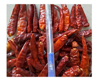 Top Qualité Naturel Piment Rouge Séché Gros Piment En Vrac En Gros 100% Pur Piment Rouge Séché Premium Vietnam