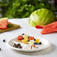 Vaisselle jetable en bagasse de canne à sucre, assiette à 3 compartiments, biodégradable, pulpe de bagasse, papier, assiette en bagasse