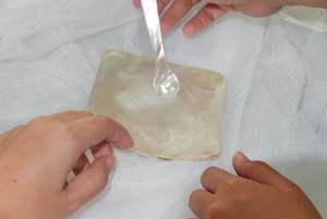 Assiettes en nacre, vaisselle de service décorative en coquillage artisanal vietnamien pour restaurants et usage domestique - Product Image 5