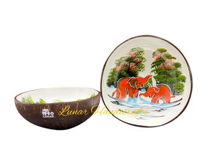 Bol en noix de coco de qualité supérieure, personnalisé, écologique, finition laquée colorée, économique, en plastique, directement de l'usine du Vietnam - Product Image 4