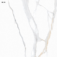 Moderne Klassische 60x60cm Keramik-Innenbodenfliesen Rutschfest Antibakteriell Modell SR_15 Beste Qualität Reaktive Oberfläche Günstiger Preis