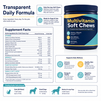 Complément Multivitaminé Canin et Félin pour Articulations, Peau, Pelage et Immunité – Friandises Tendres à Croquer – Approvisionnement en Gros – Nutrition Quotidienne pour Animaux de Compagnie
