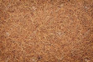 เส้นใยมะพร้าวธรรมชาติ - Product Image 5
